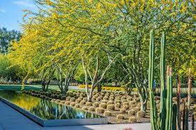 sunnylands9